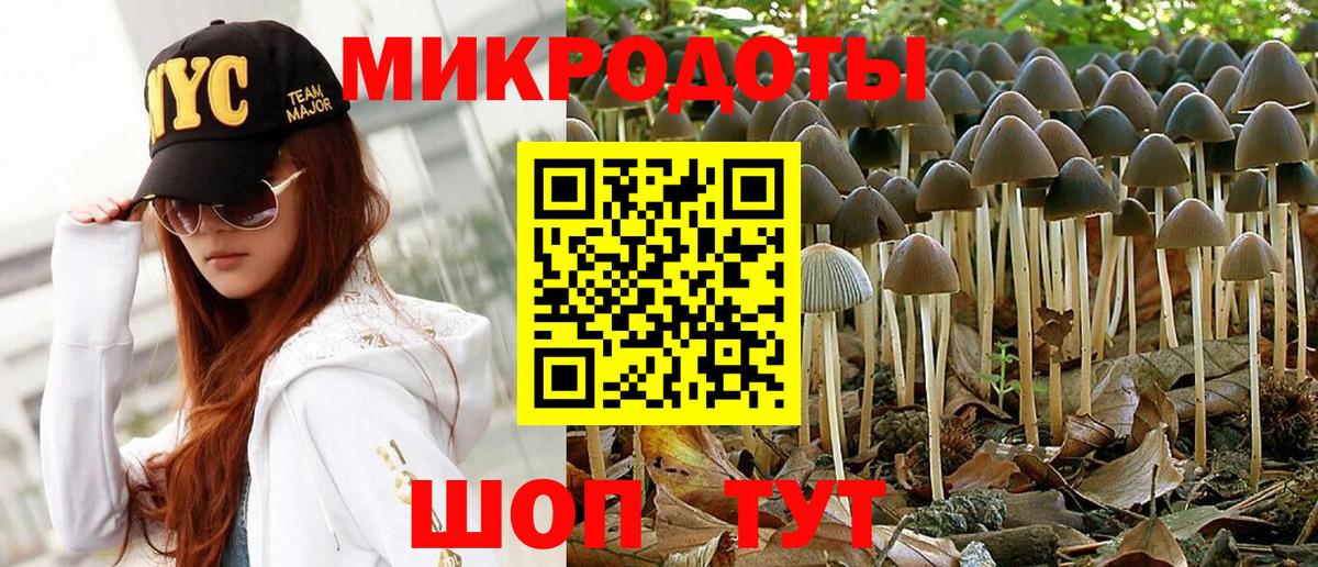Жигулёвск  купить закладку  Вход с VPN  Псилоцибиновые грибы прущие грибы 